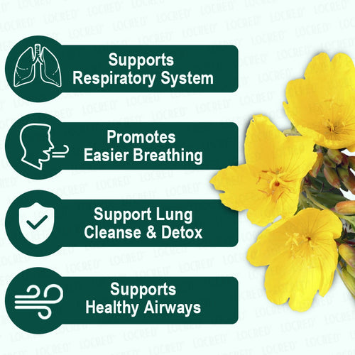 Better Lungs Cistus Incanus Herbal Tea